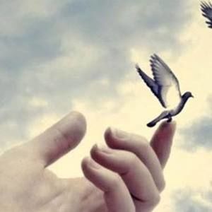 Meet your Posher, Blanca